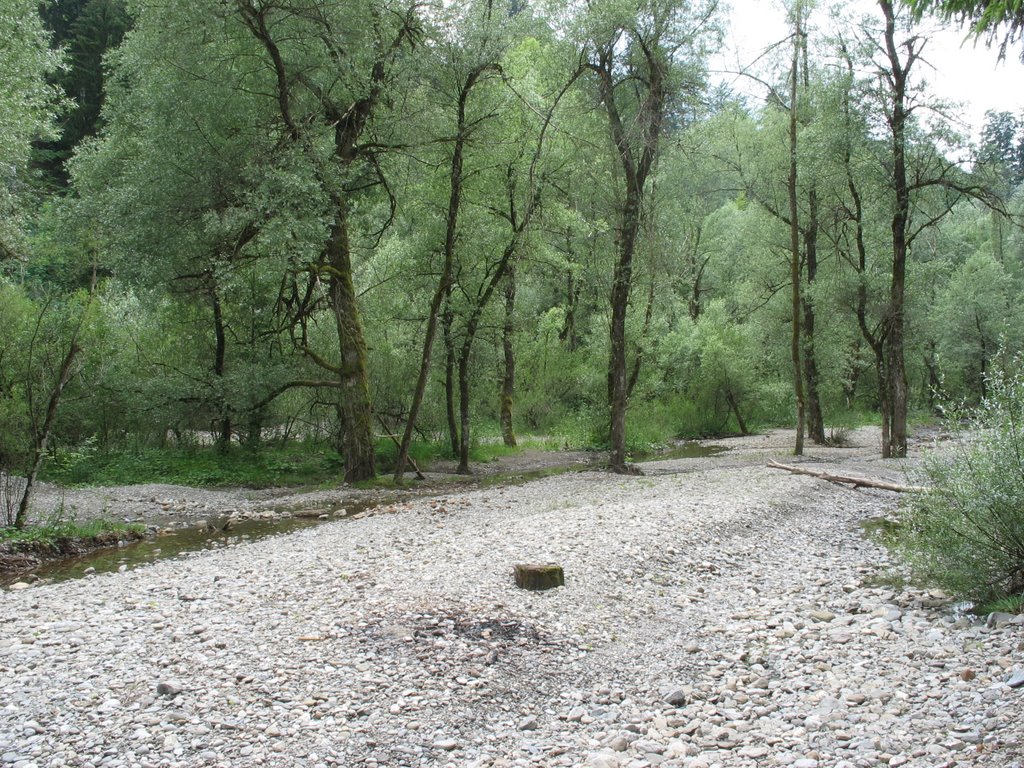 Flussbett im Auslauf der Starzlachklamm by Andy Mendyk