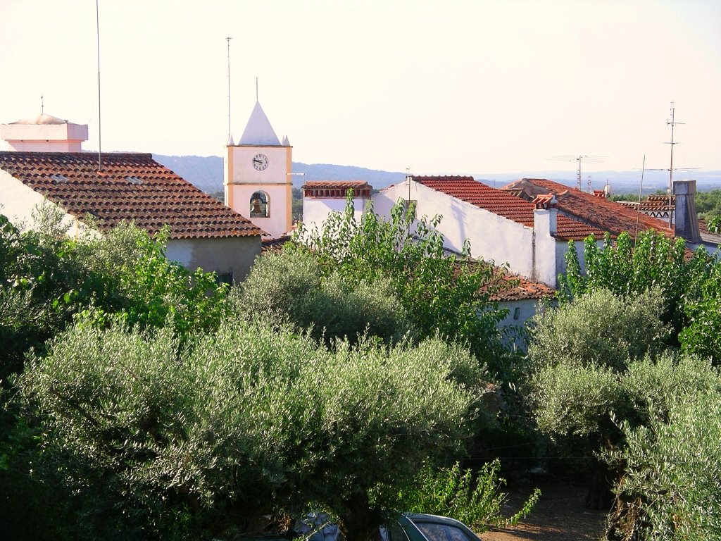 Alagoa - Torre da Igreja by PAULO FRANCIS