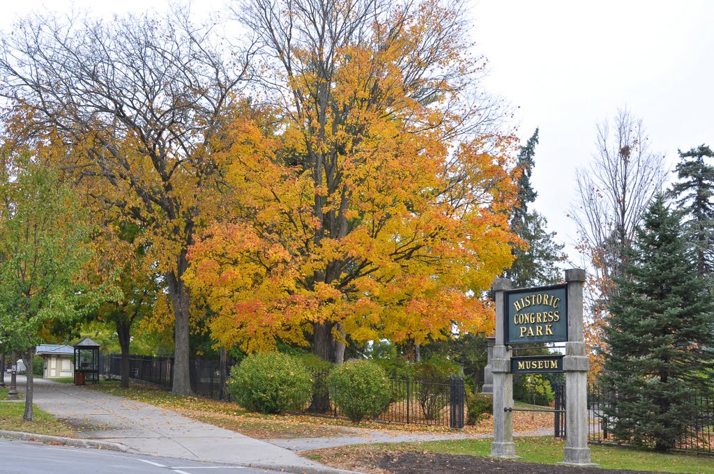 Congress Park Entrance by Forego