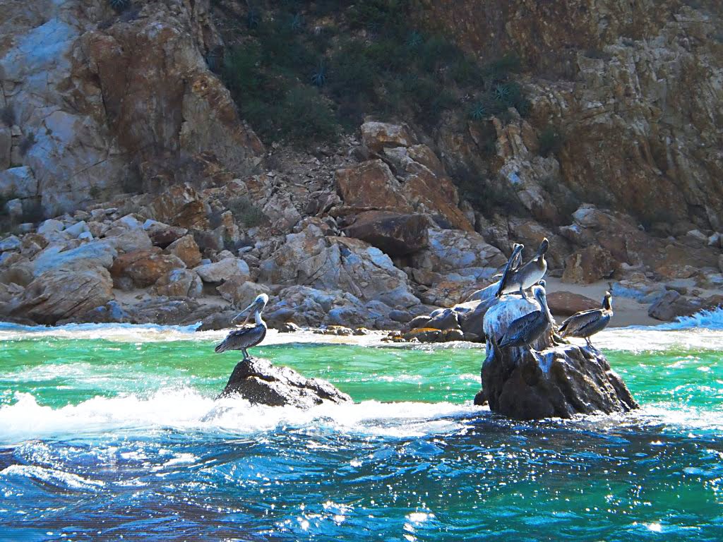 Los Cabos, Baja California Sur, México - Alejandro Larracilla by Alejandro Larracilla