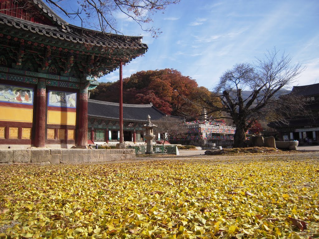 Keum-San-Sa (金山寺) Temple, Kim-Je-Si (金堤市), Korea. by MC Han