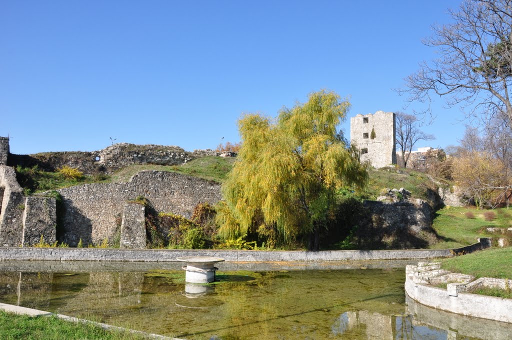 Cetatea Severinului by nelu tu