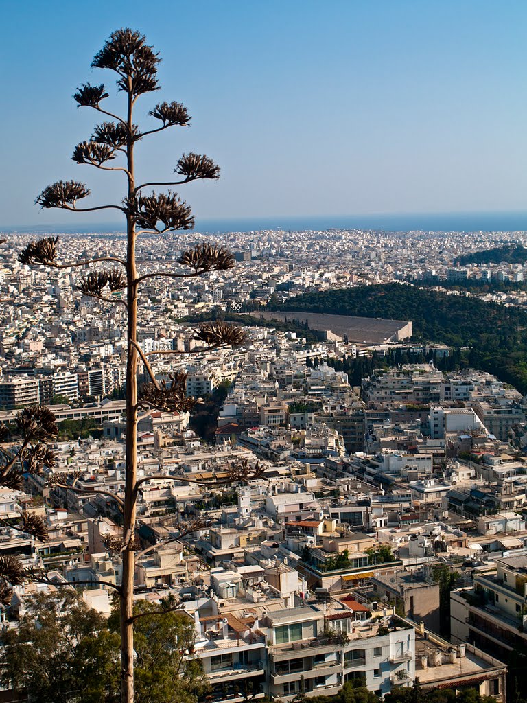 Athens, Greece by Andrzej Szewczyk