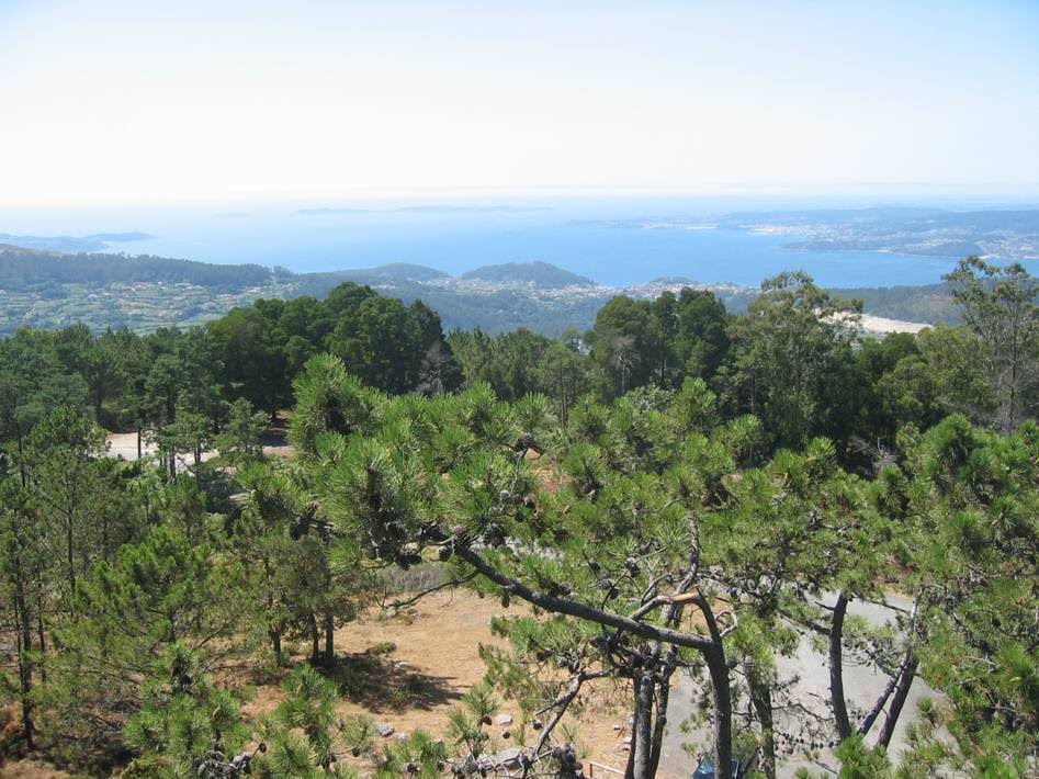 Ría de Pontevedra desde Cotoredondo. by La Casa del Chiflón