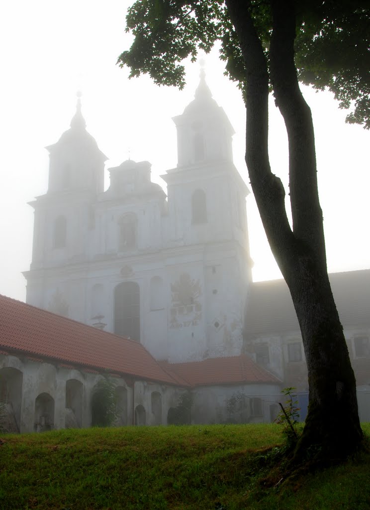 Tytuvenai abbey and church, fogy morning by Renatorius (Reno)