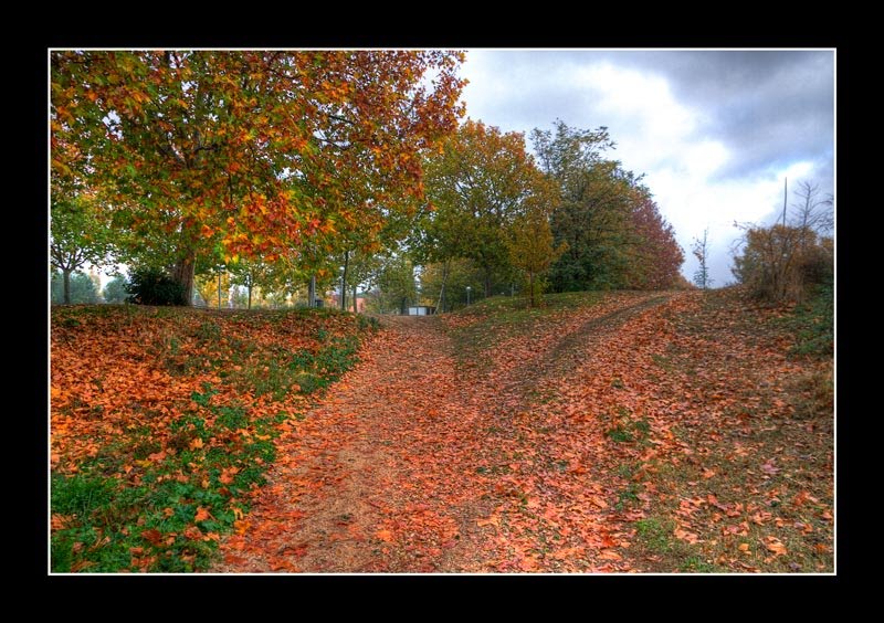 Otoño en el Campus de Alcala. by Angel Pueblas de la …