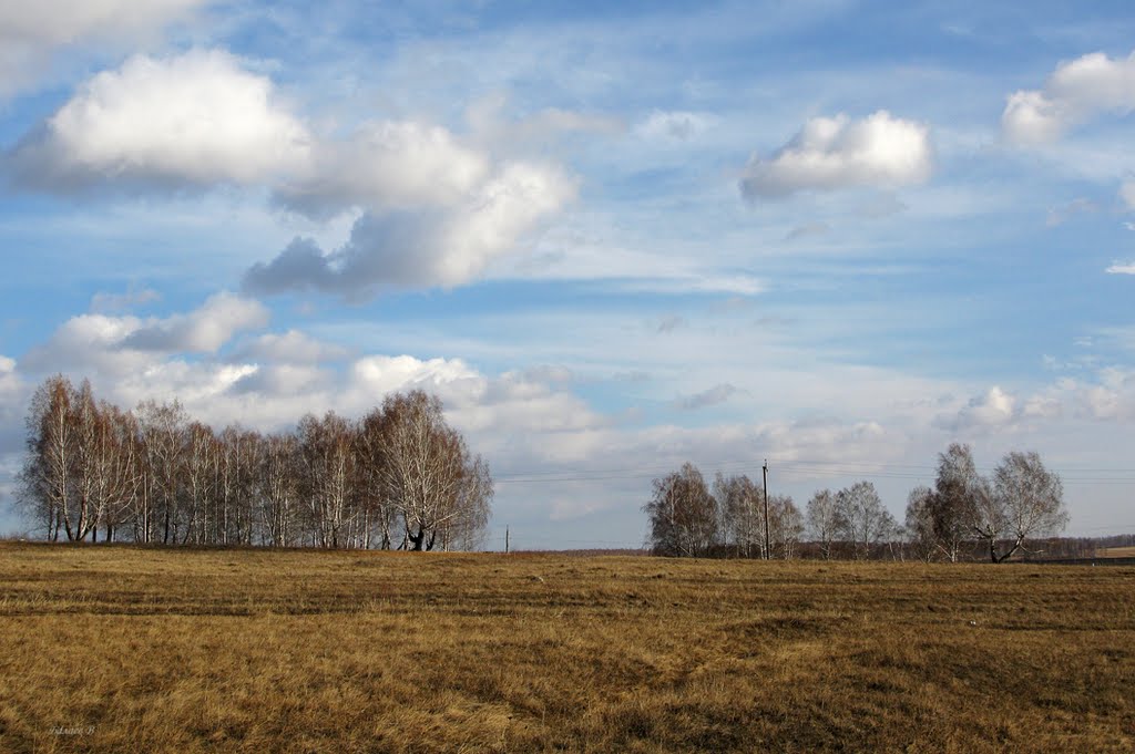 Светлый день. / Bright day. by Vasilj Balaev