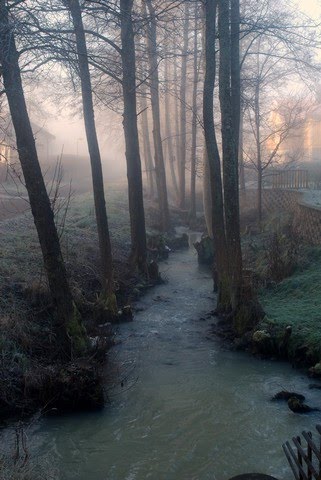 Disigt Novemberväder i Alingsås,Sweden,2010 by DESPINA MOUSAFIRI