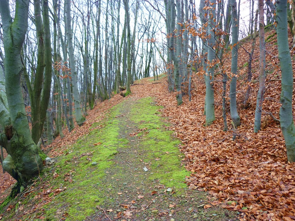 Rača, chodník okolo vrcholu Malej Bane by gabusa