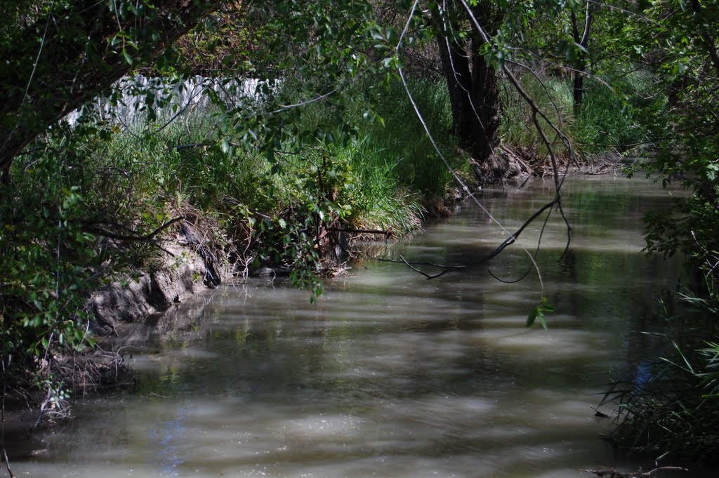 Dirty Creek By Chris Yoder by spiceupdinner