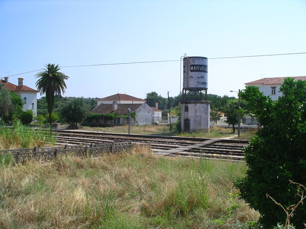 Beirã - Estação C.P. (International Station) 4 by PAULO FRANCIS