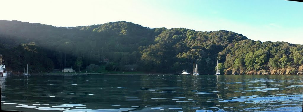 Morning Sun into Ayala Cove on Angel Island by Jay Dean