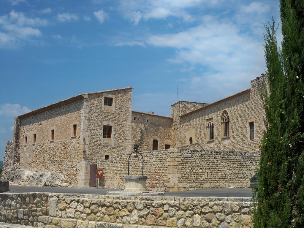 El Castell dels Sanmartí by Jaume Lamarca