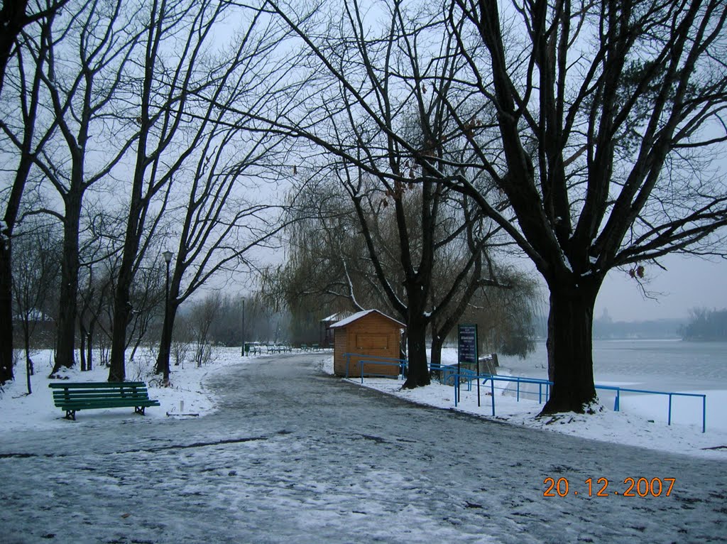 Herastrau Park, in Bucharest by raduconstantin