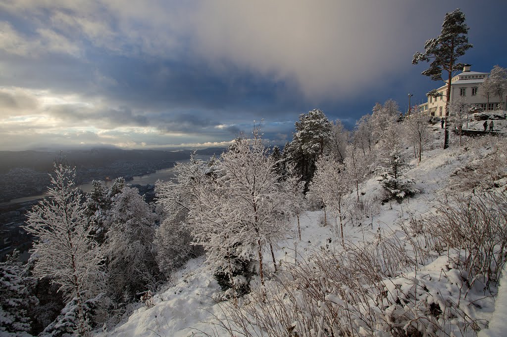 Beautiful winter view at Fløyen by S.M Tunli - tunliweb.no