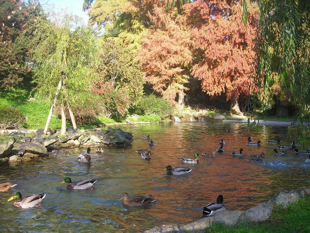 Autunno al Valentino-Autumn at the Valentino Park by Adriana.A.