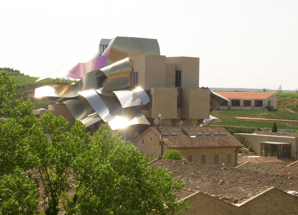 Bodega Marqués de Riscal by Izaskun Perea