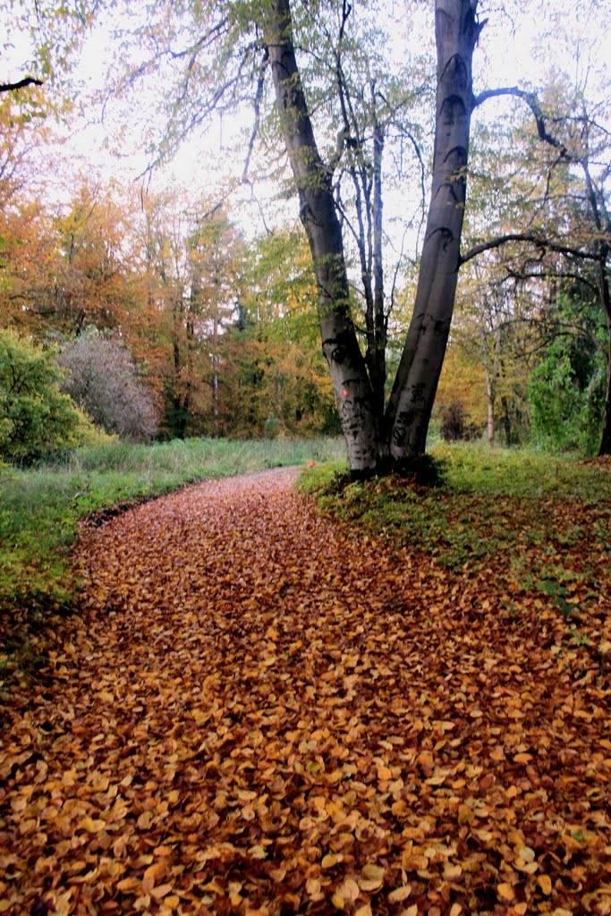 Bunter Herbst by K-Heinz