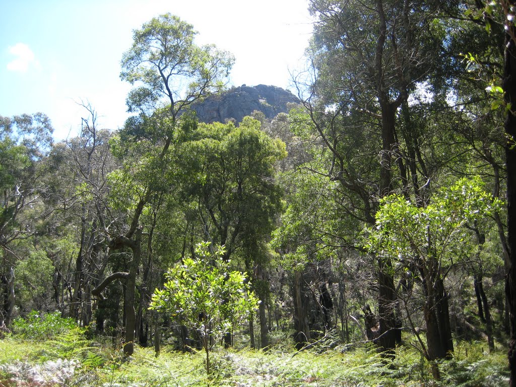 Chatauqua peak from the halls gap gardens by zhunt