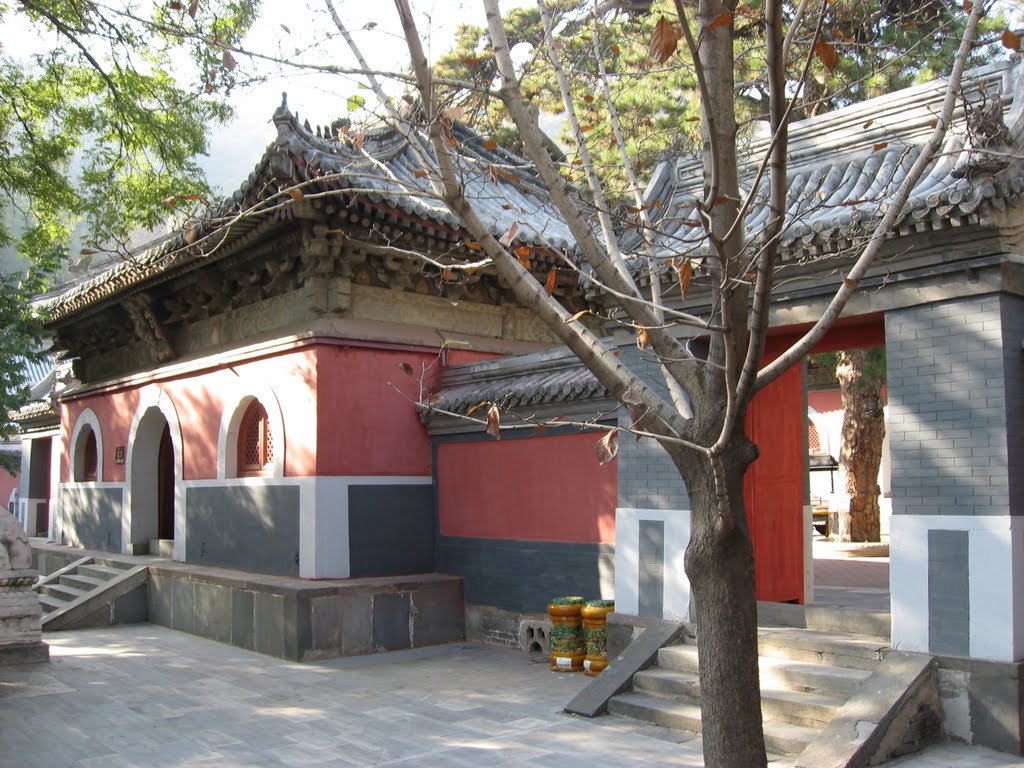 Beijing - Jietai Temple by MalteLauridsBrigge