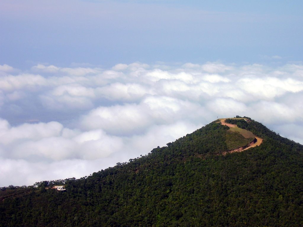 Pico agudo by HIRLE