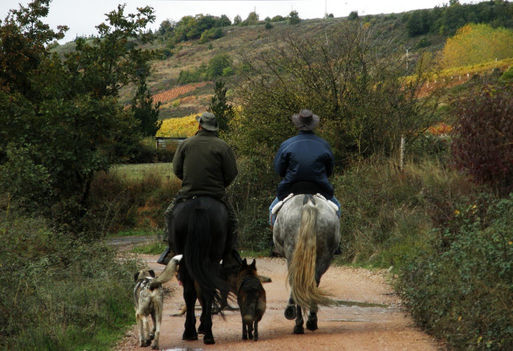 PASEOS POR ALBARES : CAMINOS CON ENCANTO by rosa ferrero