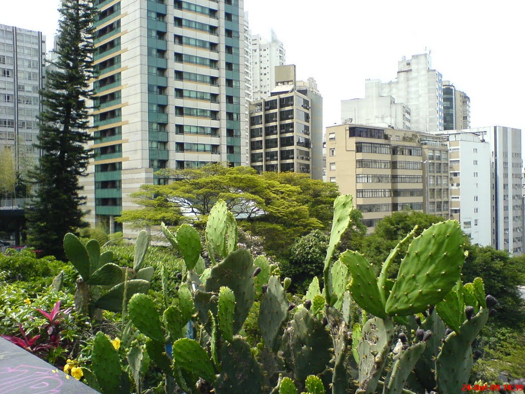 Edificios a vista pelo Pateo do MASP - Sao Paulo SP by Paulo Humberto