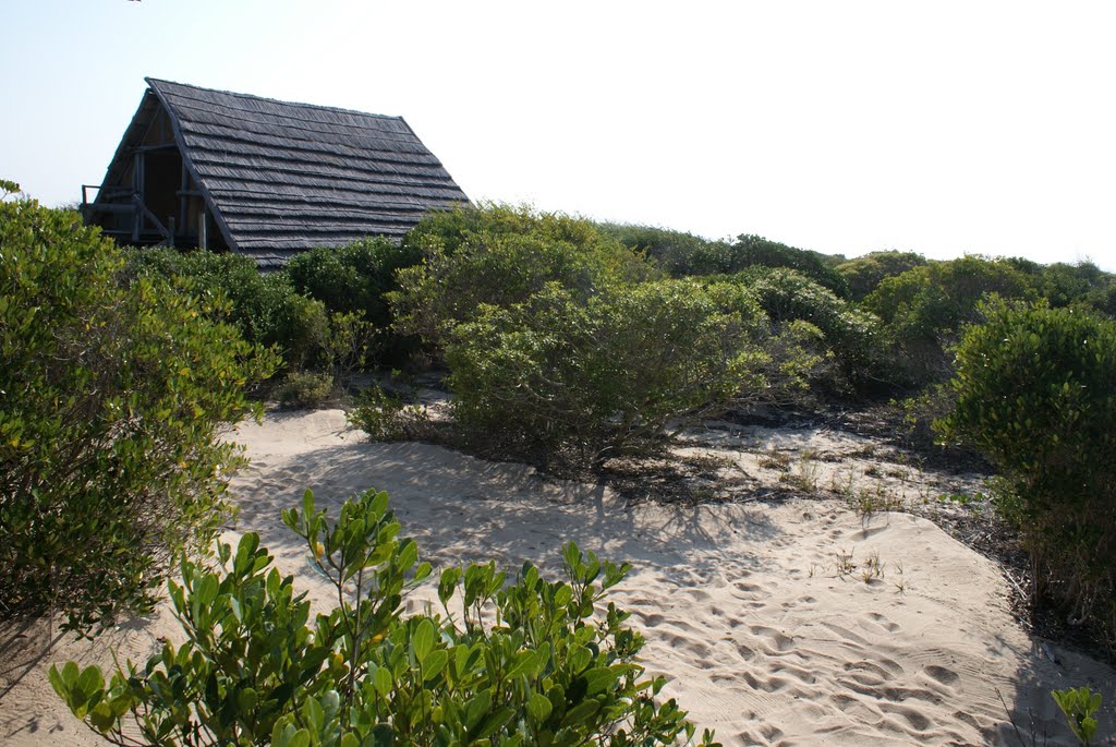 Aug 2010, Cristina's Lodge, Macaneta, Mozambique by José Luis Silva (Setúbal, PT)