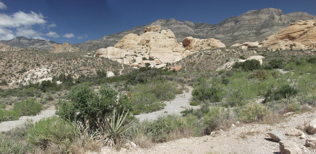 Red Rock Canyon Panorama by Steven Lichti