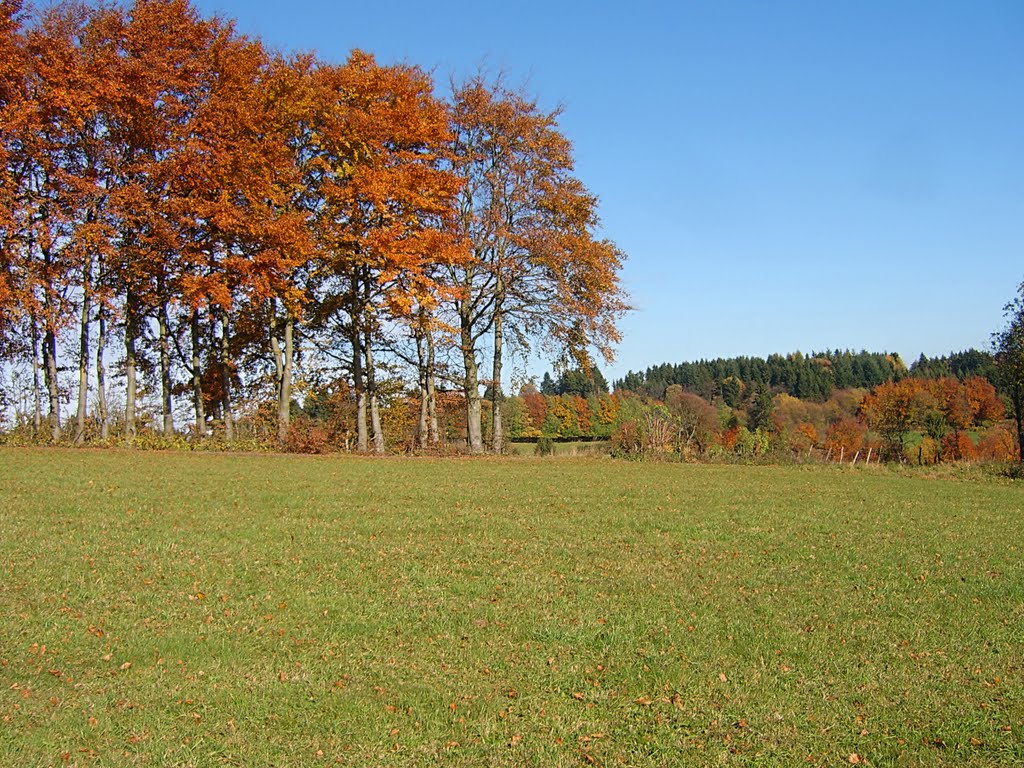 Herbstfarben by christian krawczyk