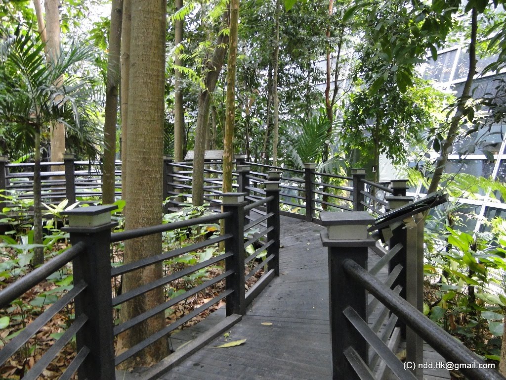 Jungle Inside airport by Nguyễn Đức Dũng