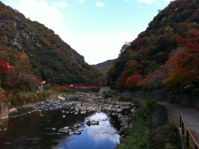 武田尾温泉の紅葉 by HiroshiS