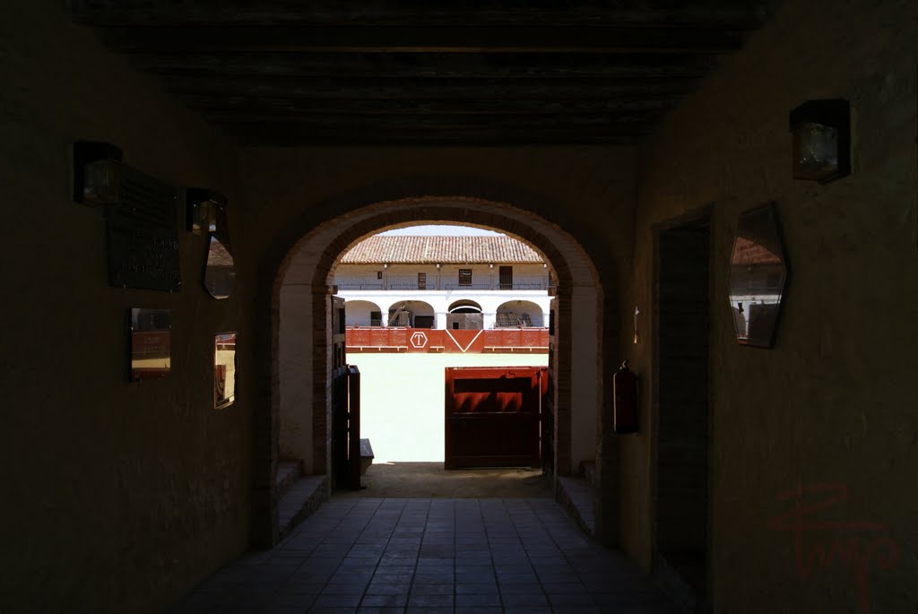 Plazas de toros de Almadén by Fernando RAYO