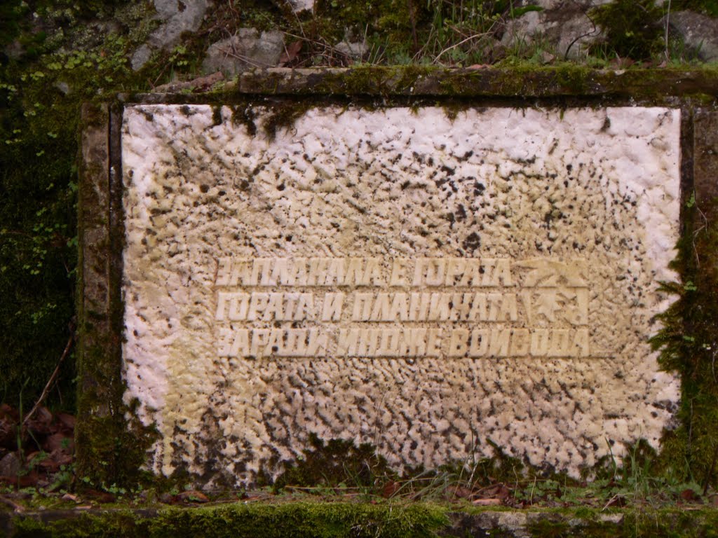 Заплакала е гората, гората и планината за Индже Войвода / In memory of Indje Leader by Ивайло Николаев