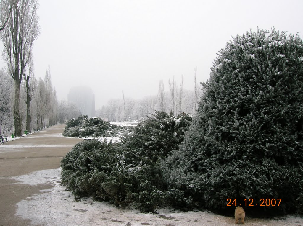 Herastrau Park, in Bucharest by raduconstantin