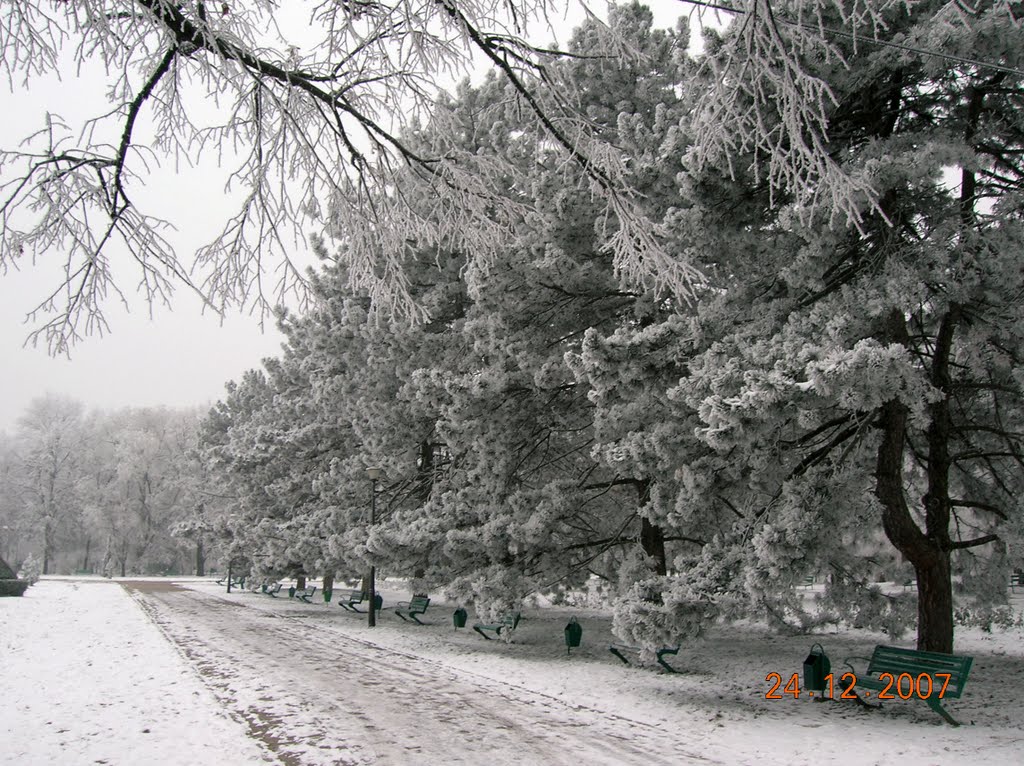 Herastrau Park, in Bucharest by raduconstantin