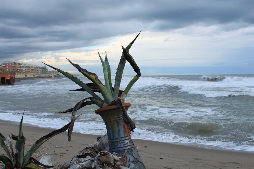 Ostia by Ginadeb