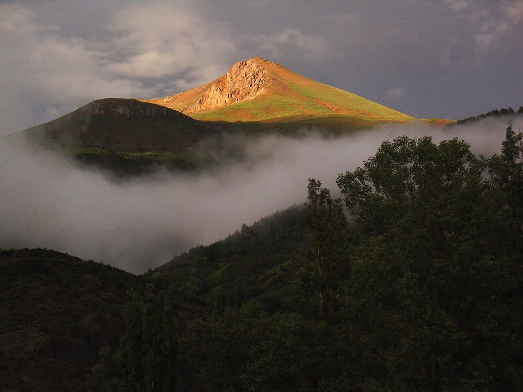 Pico gallinero al atardecer by ratachina