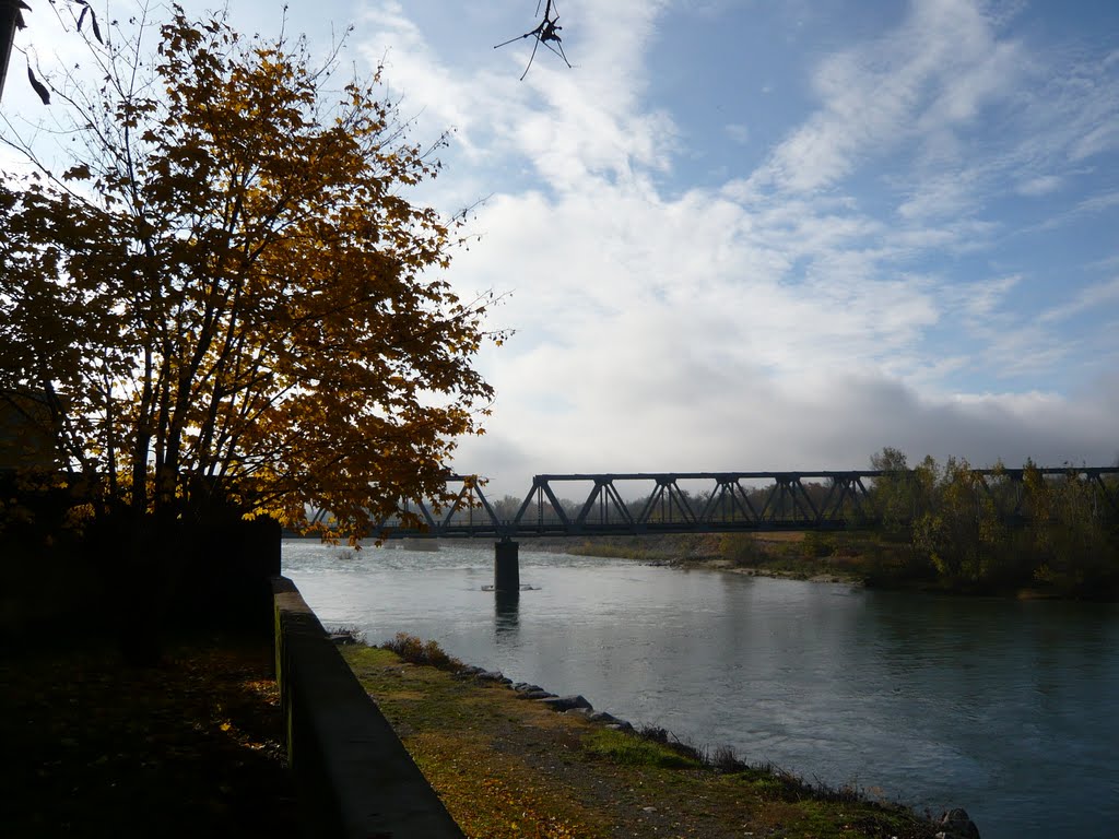 Il fiume Sesia A Romagnano Sesia in autunno by silvanopano