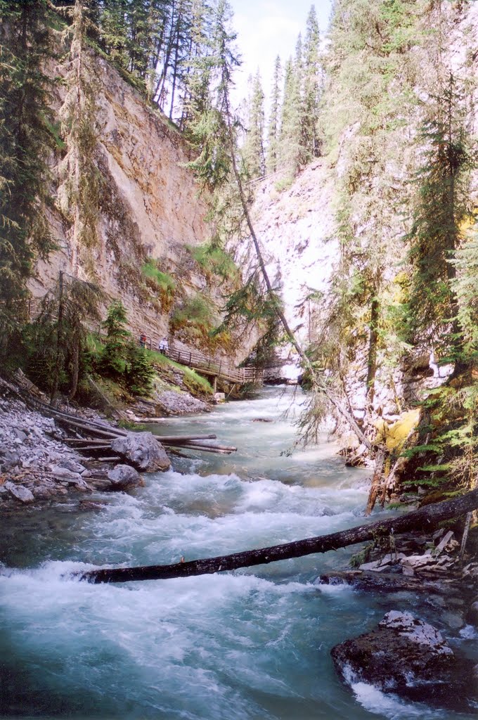 Johnston Canyon by Ivan Planek