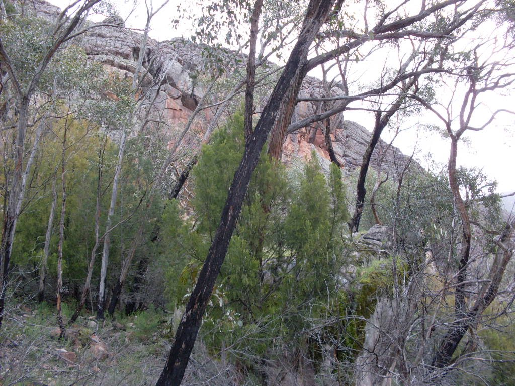 Cliffs behind the elephant hide by craig zhunt