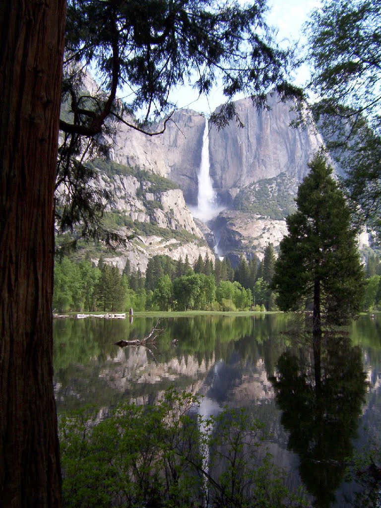 Spring in Yosemite by B. Vierra