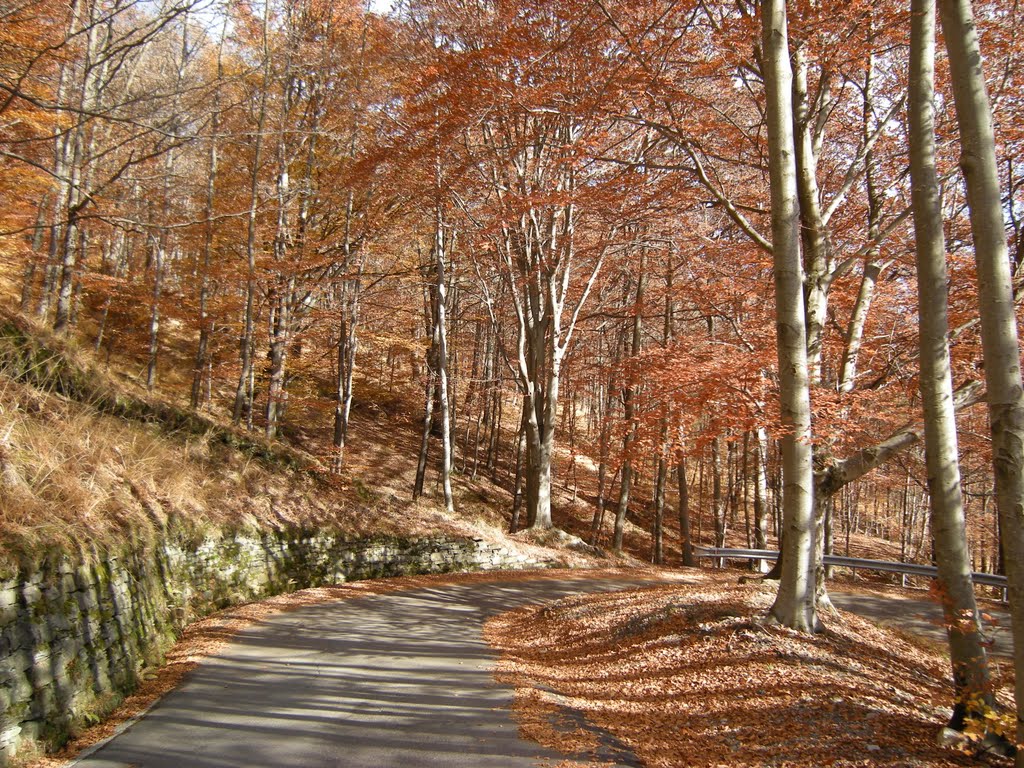 Strada Druogno-Albogno "I colori dell'autunno" by gian carabelli