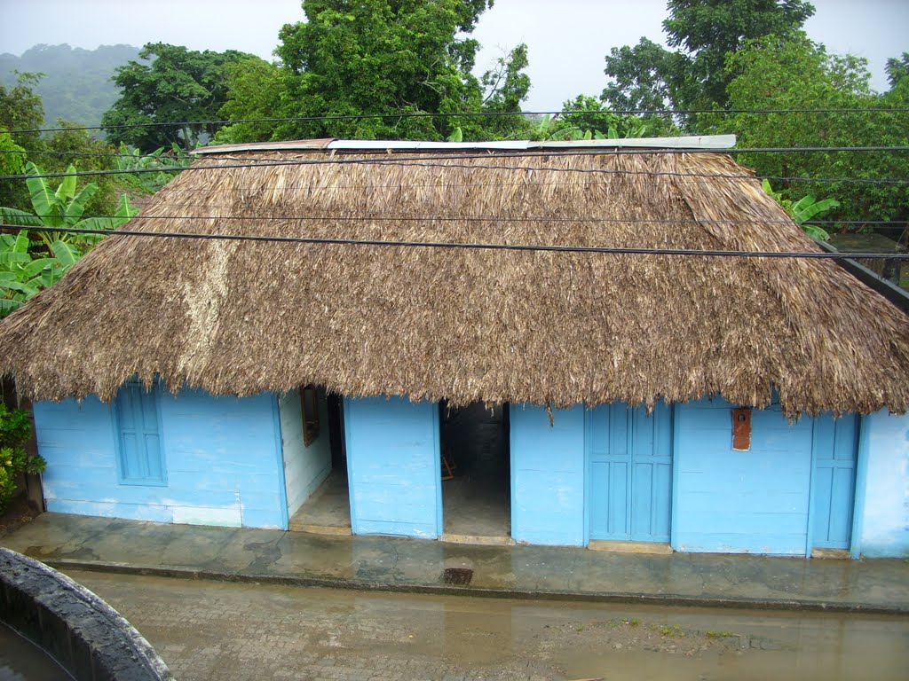 Construcción típica. San Juan de Urabá Ant. by Ruiz José