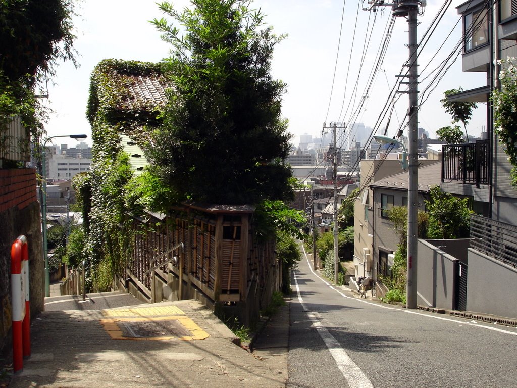 富士見坂から見た新宿(A view of Shinjukui from Fujimi Hill) by melodyinnTT