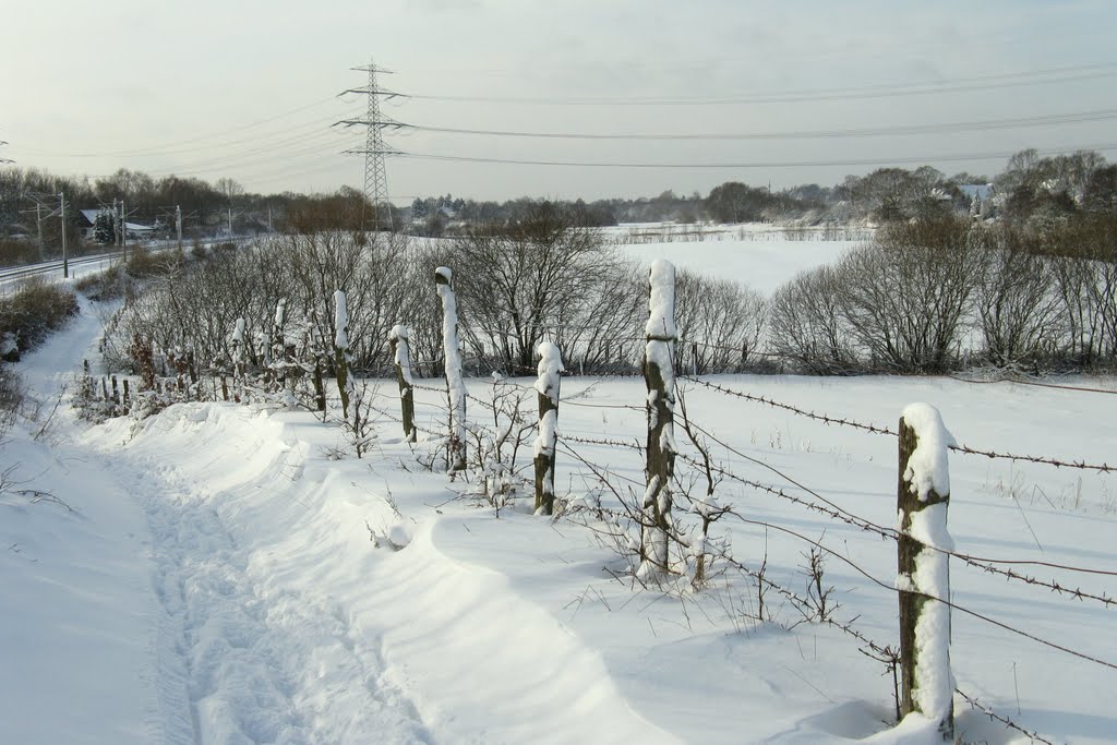 Winterlandschaft Meiendorf by texastom