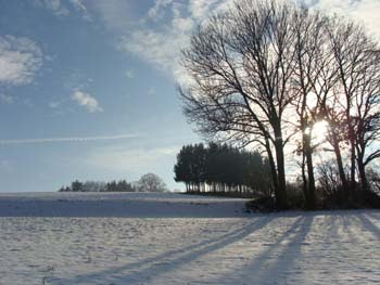 Winter in Schleitheim by marianne meier schaf…