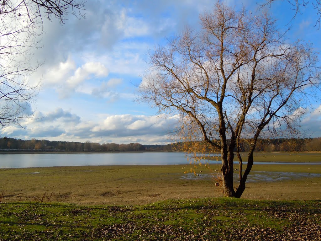 Dechsendorfer Weiher by Tim Jansa