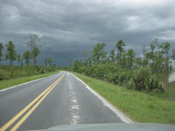 Storm in the Glades by ckfarrow1