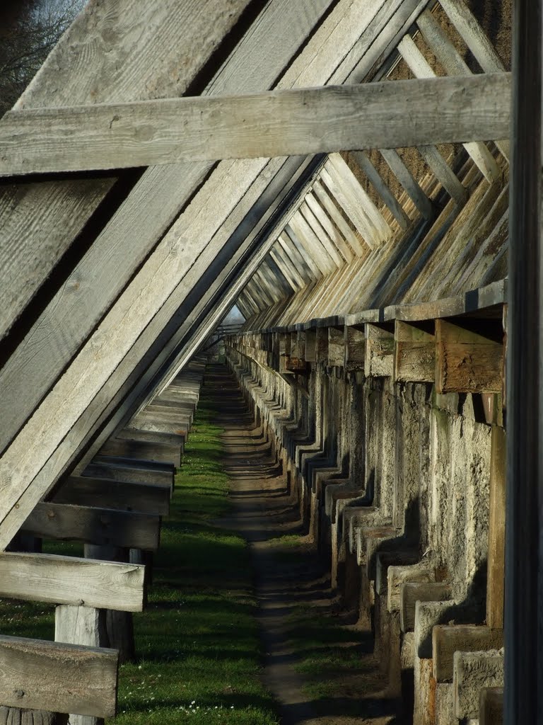 Tunel tężniowy by marcheweczka